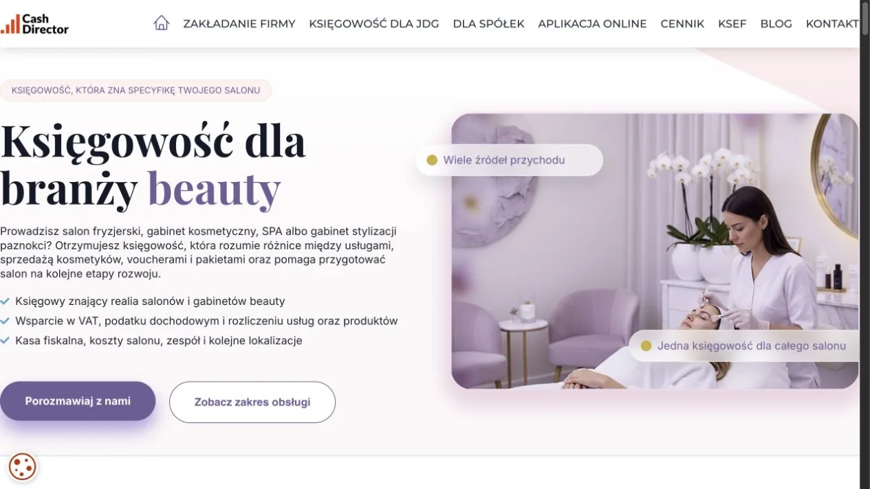 CashDirector — Accounting for the Beauty Industry landing page shown on desktop
